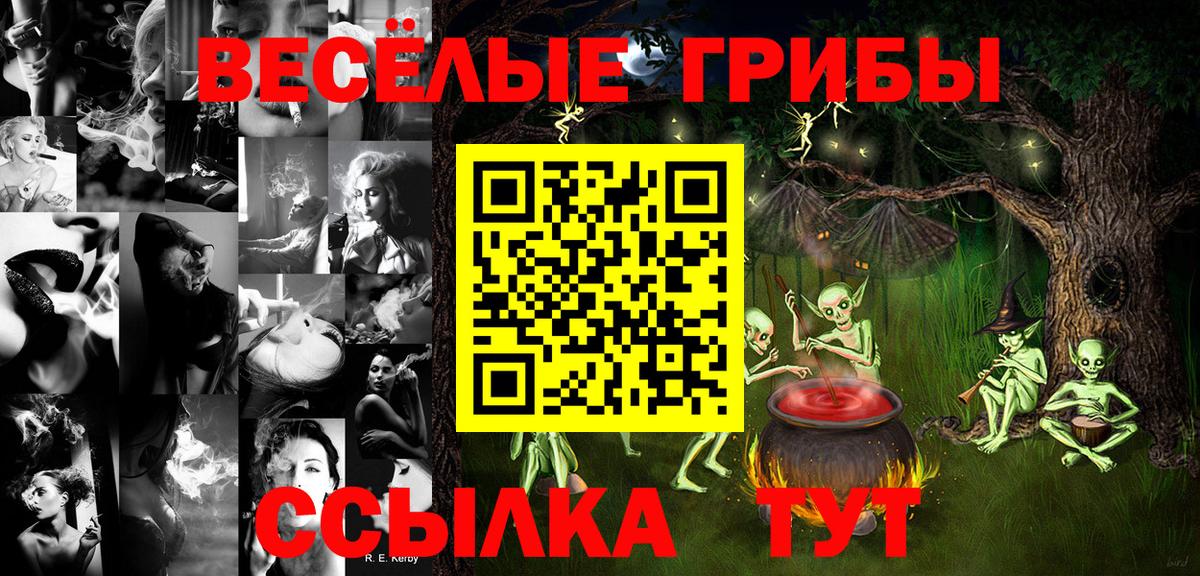 Кунгур  Галлюциногенные грибы прущие грибы  Вход с VPN  Псилоцибиновые грибы GOLDEN TEACHER 